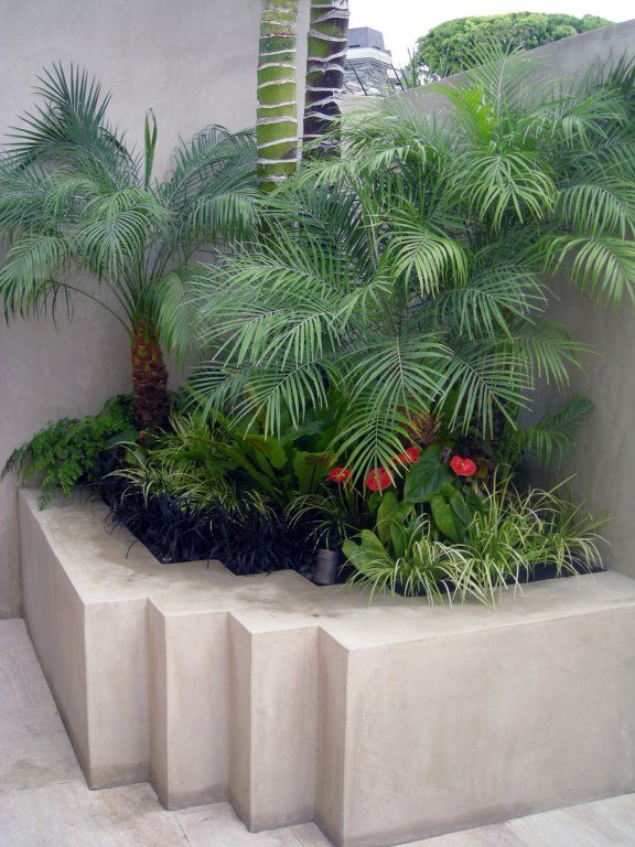 Diferentes estilos de plantas para jardín frontal