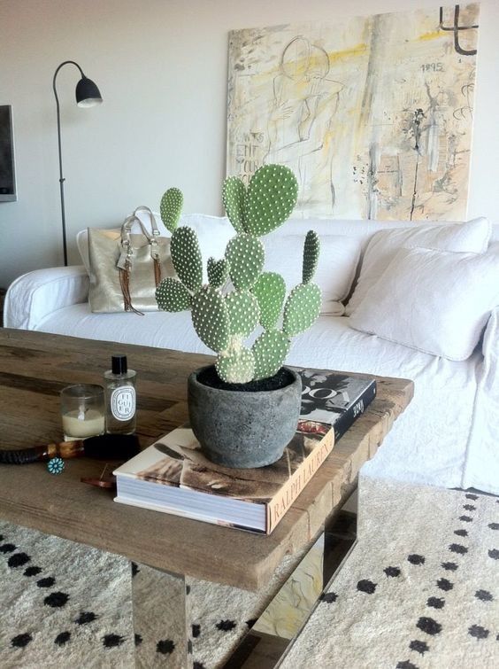 Decoración de interiores con cactus y suculentas