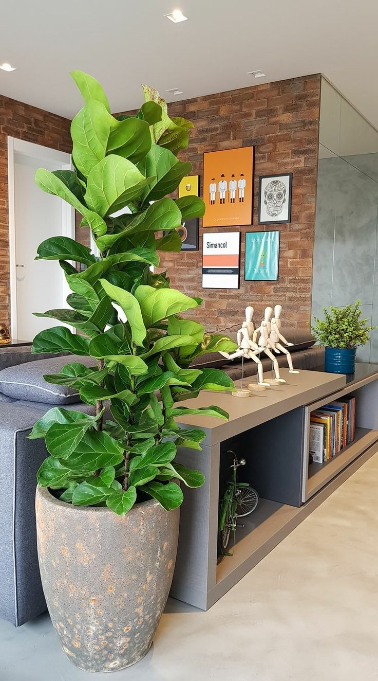 Salas de estar decoradas con plantas