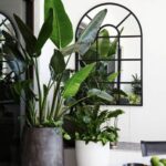 Maceteros para plantas gigantes para interiores