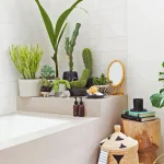 Cactus para decorar baños