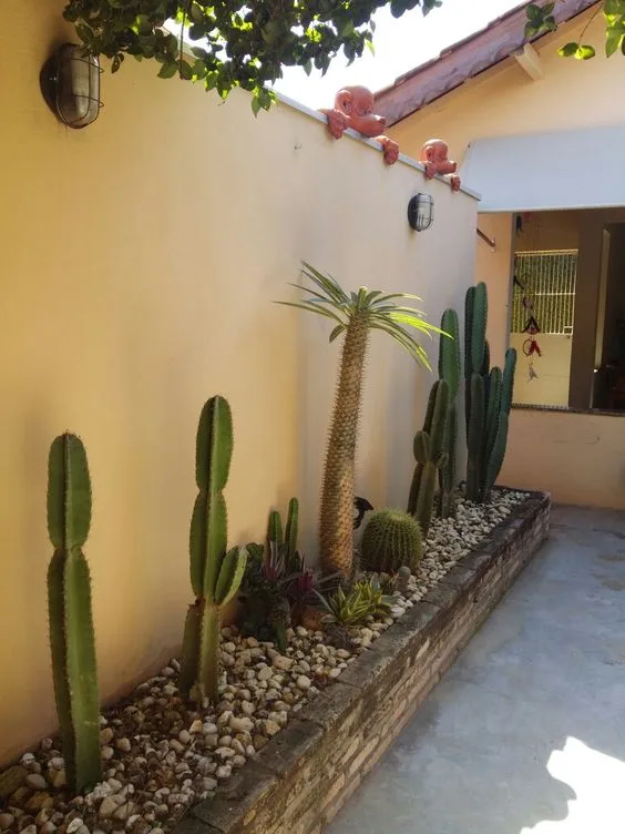 Entradas principales decoradas con cactus