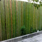 Valla de bambú para casas